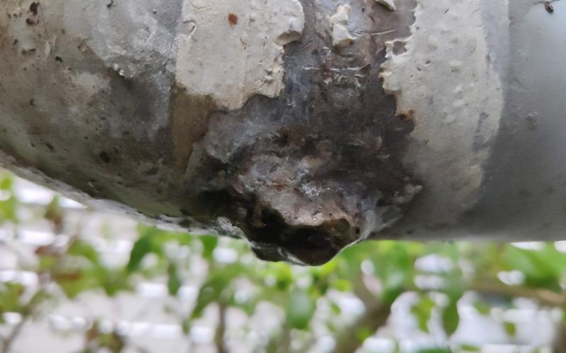 Close-up of a corroded pipe leaking water